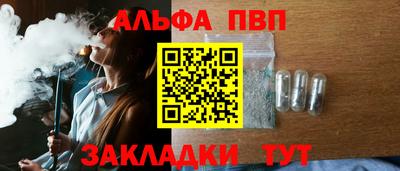 стаф Тула