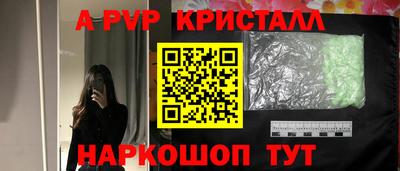 стаф Тула