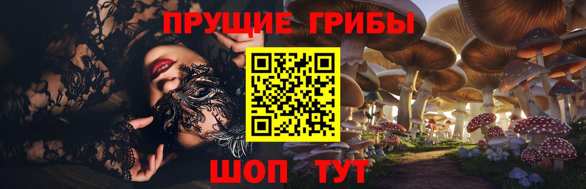 Псилоцибиновые грибы Cubensis  Вход с VPN  Галлюциногенные грибы Cubensis  Шали 