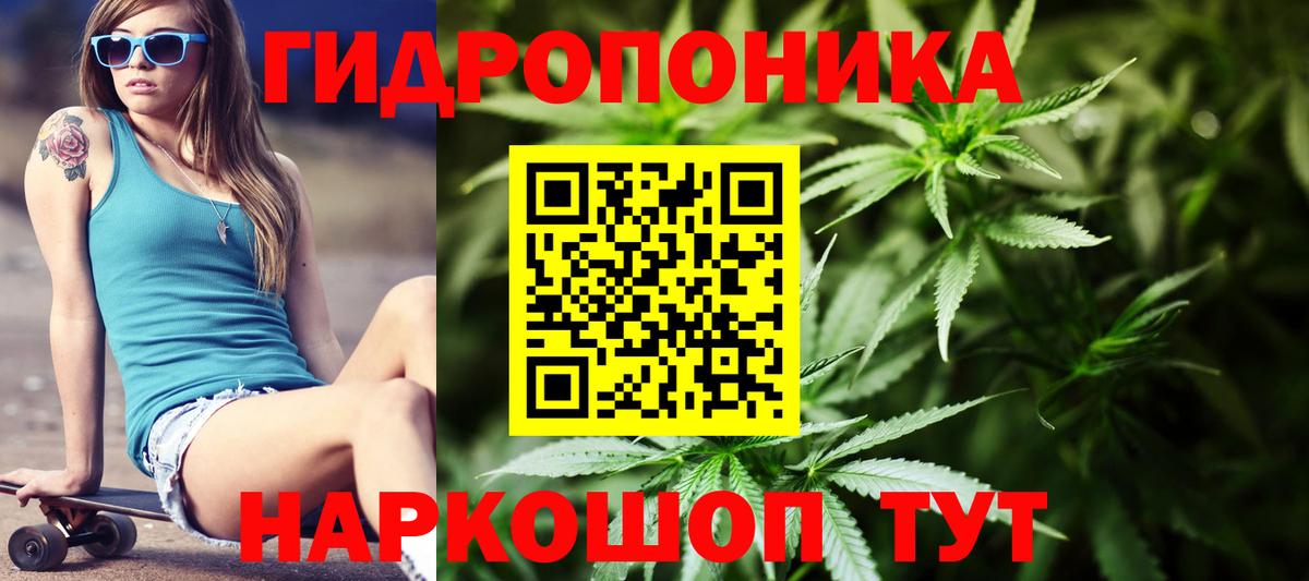 Шишки марихуана MAZAR Шали